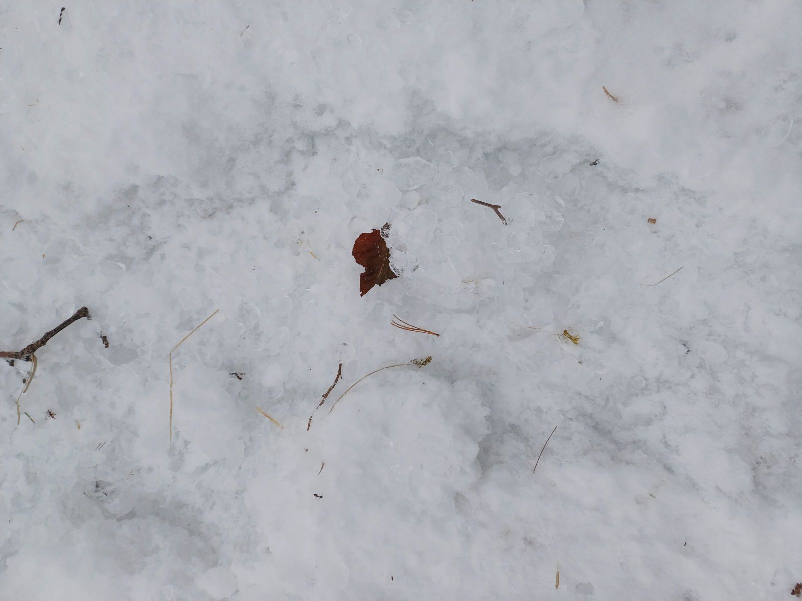 /sekison-arete/iceball.jpg